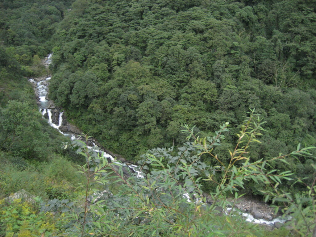 Forest stream and waterfall in the Erlang Mountain landscape, Sichuan