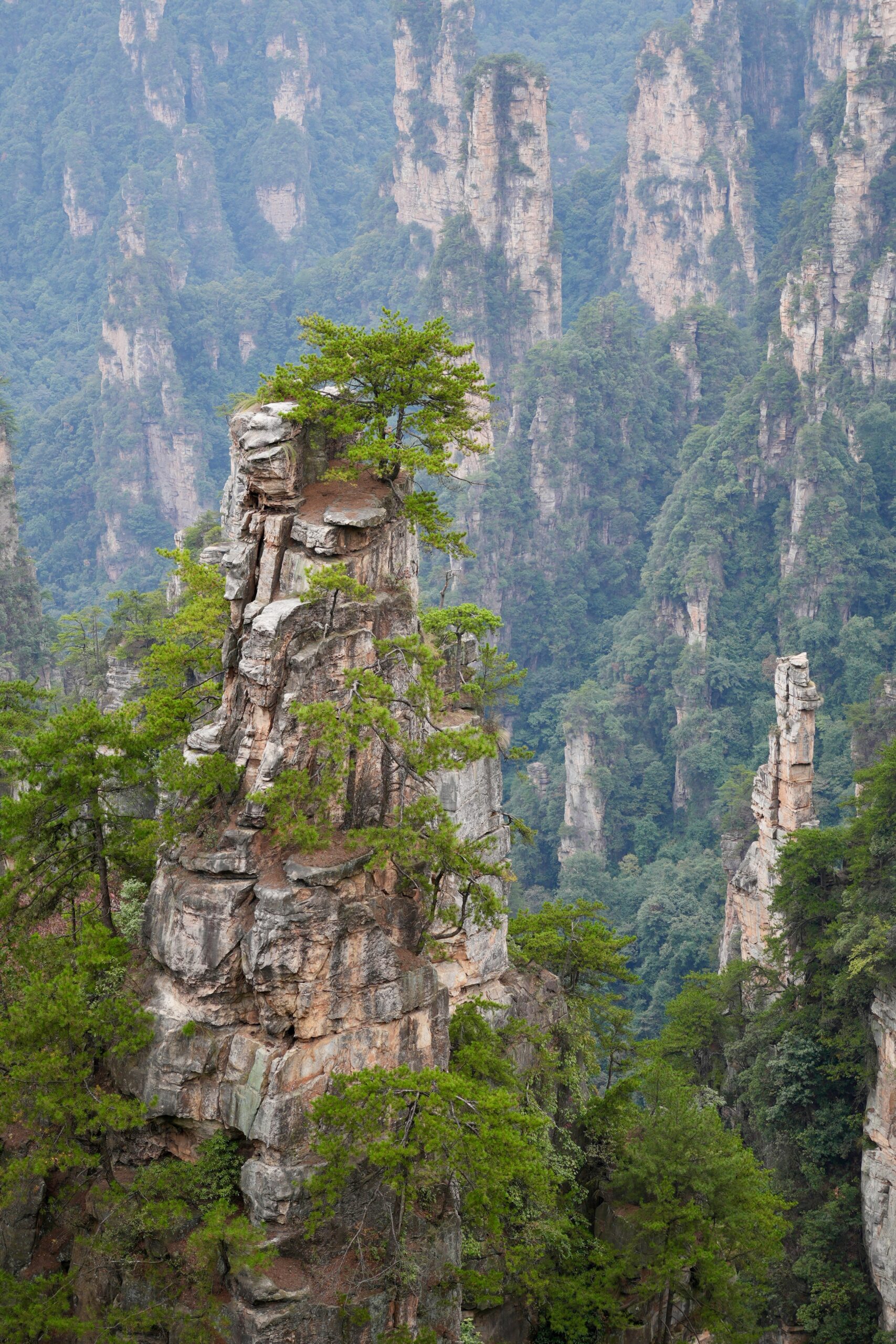 Tall sandstone spires surrounded by forest in Zhangjiajie National Forest Park