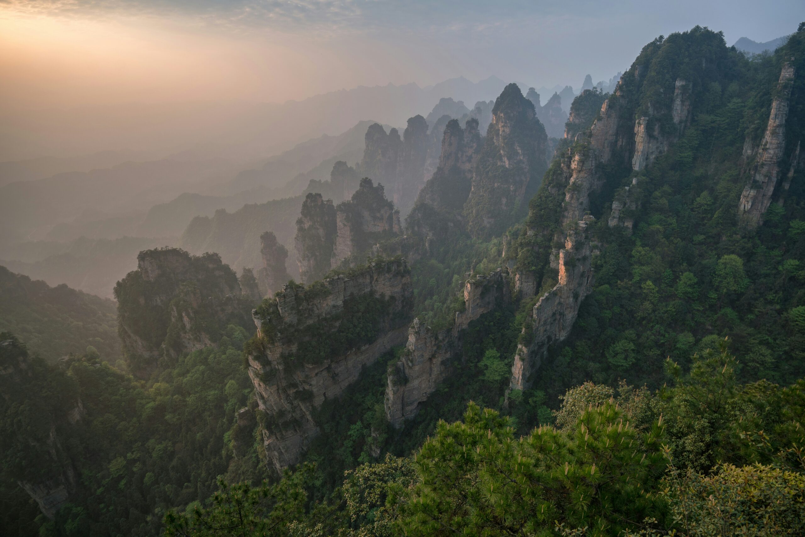 Misty sandstone pillars and forested peaks in Zhangjiajie at sunrise