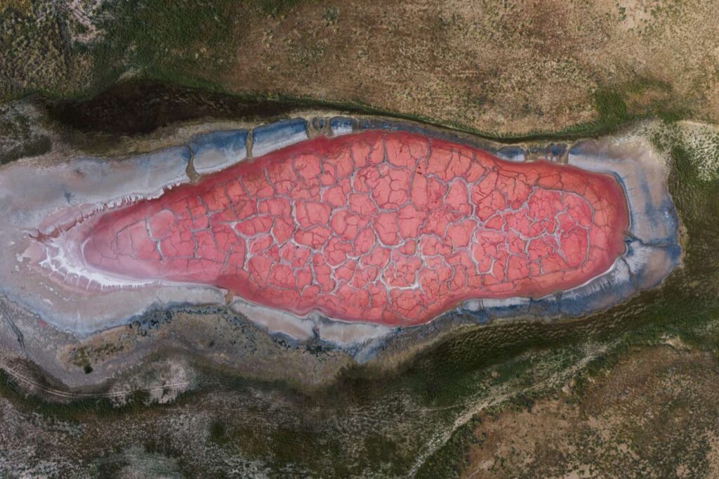 Aerial detail of a red salt lake and branching mineral textures in Badain Jaran Desert, China