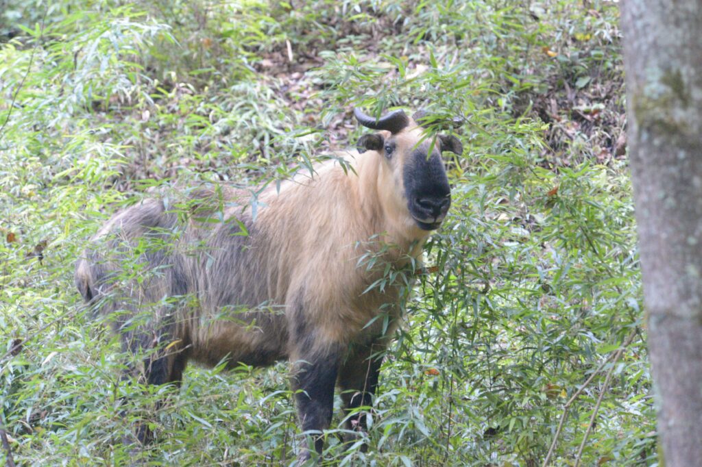 takin watching at you